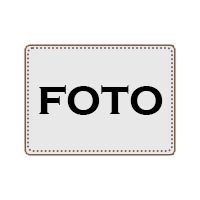 motiv